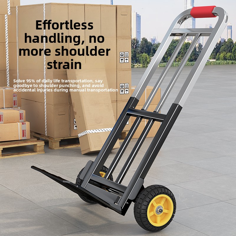 Portable Foldable Hand Trolley - Sports Equipment Cart 评论和价格