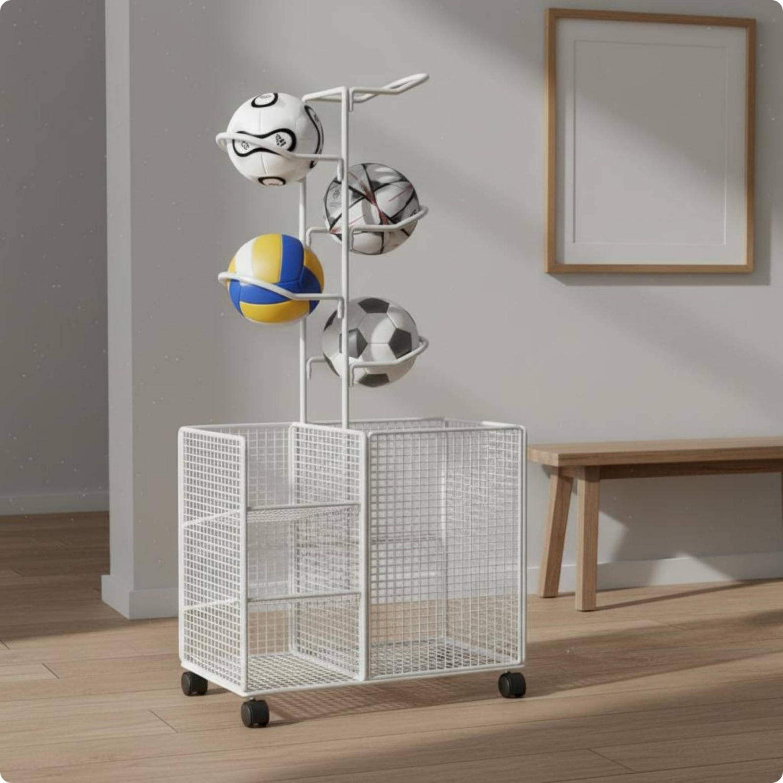 Sports Storage Rack Curved Hol - Sports Equipment Types 评论和价格